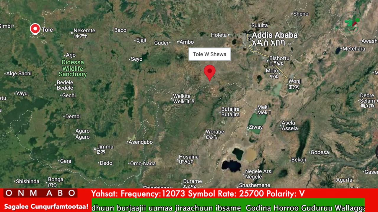 Oduu Ganama ONM-ABO Caamsaa 20-2025 itti dhiyaadhaa!