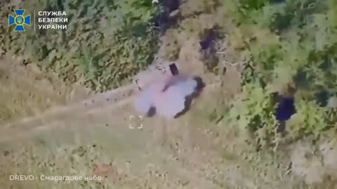Ukrainian SBU Drone Operations Destroyed Dozens of Targets in the Air and on the Ground
