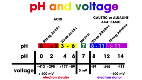 HEALING THE BODY'S ELECTRICAL CIRCUITRY | ELECTRICITY OF LIFE