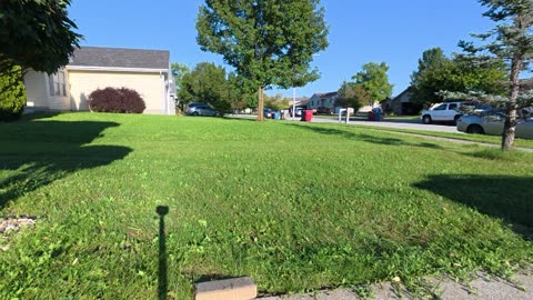 Let's mow together