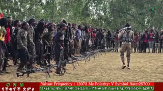 ሐምሌ 18-2025 ONM-ABO እለታዊ የኦሮሞ ነፃነት ሰራዊትና የኦሮሚያ ውሎ!