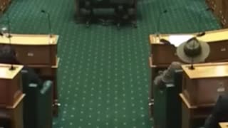 Breaking: New Zealand MPs disrupt Parliament, stage haka in protest of controver