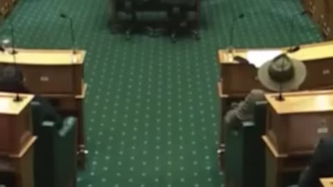 Breaking: New Zealand MPs disrupt Parliament, stage haka in protest of controver