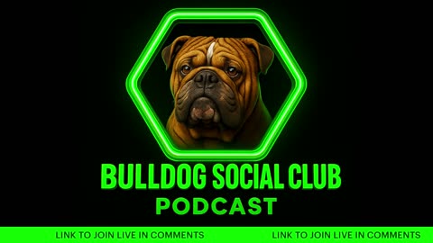 Live: Dog Talk