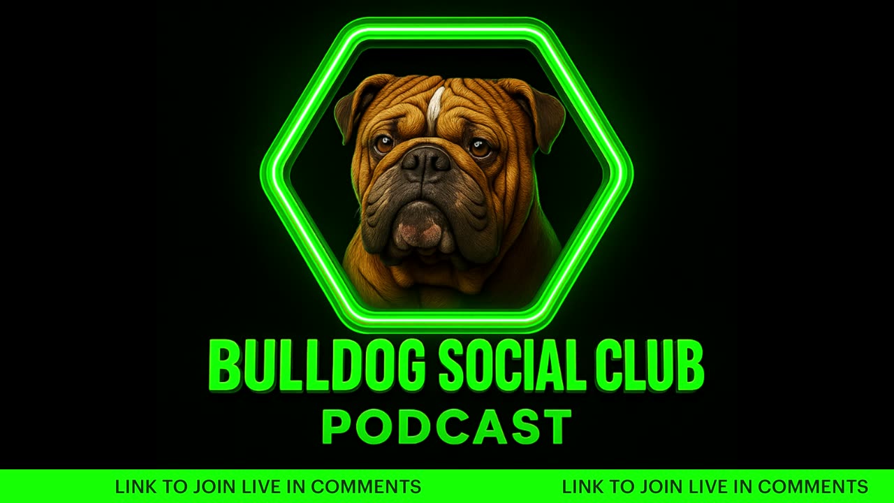 Live: Dog Talk
