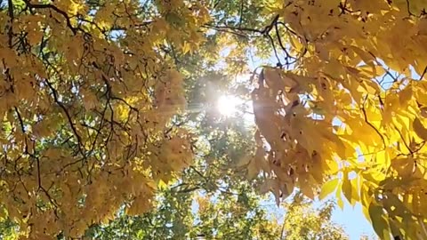 30 Seconds of spelling out the scene in the west Michigan wastelands. -I.S.T.V.