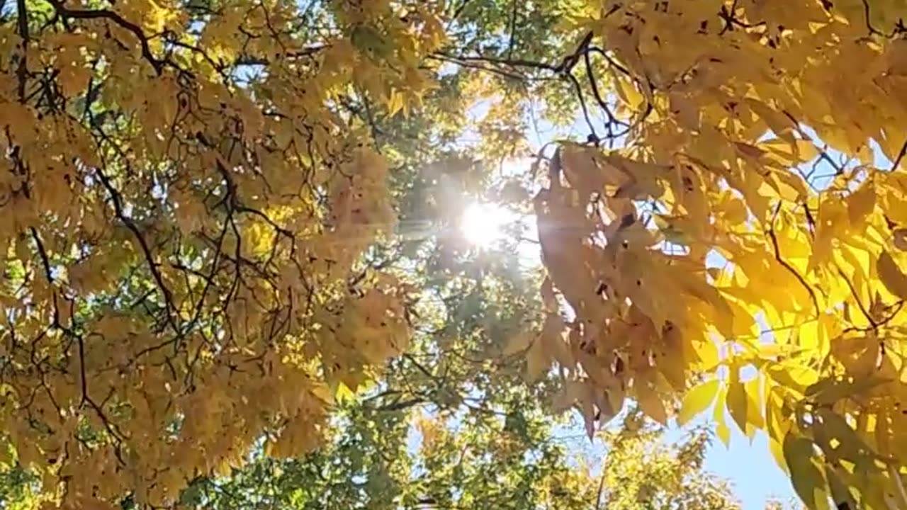 30 Seconds of spelling out the scene in the west Michigan wastelands. -I.S.T.V.