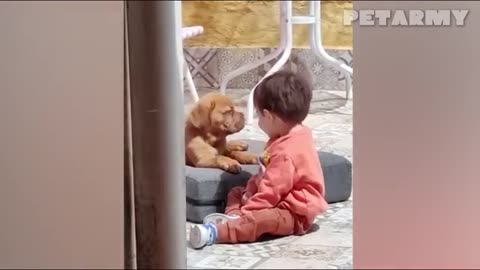 30 Minutes of Cutest Baby and Dog Friendships Ever!