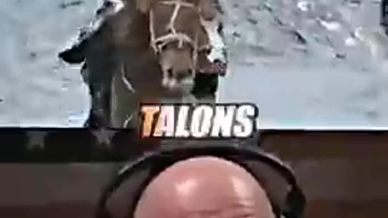Joe Rogan Fights Hawks 😳 ft. Mongolians