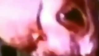 👽📹 REAL Aliens Caught on Camera? | TheTruthAbove