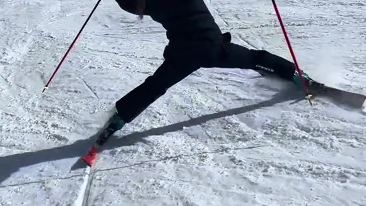 stanky leg and everything