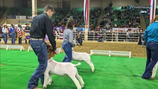 Trent Loos in the Morning - 12/03/2025