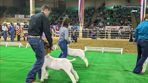 Trent Loos in the Morning - 12/03/2025