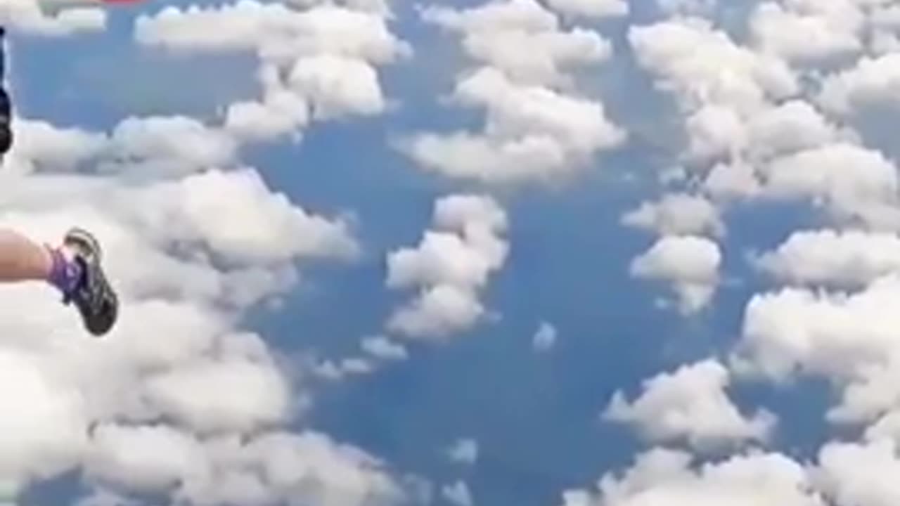 A skydiver's parachute gets caught on plane's tail