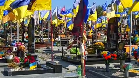 Ukraine is winning