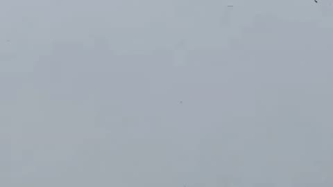 Pilot has been identified. NYC helicopter crash