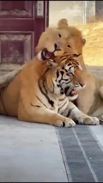 The more I get rejected the more I love 🤣🙏