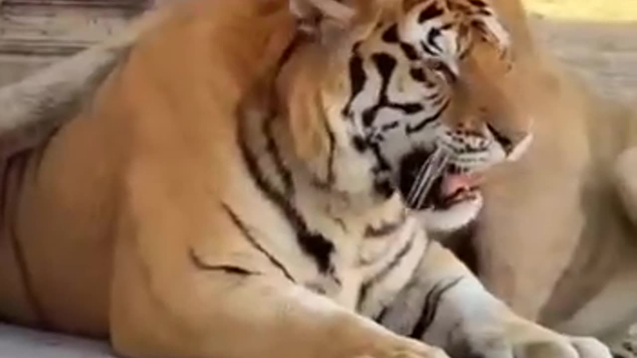 The more I get rejected the more I love 🤣🙏