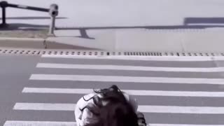 Funny video