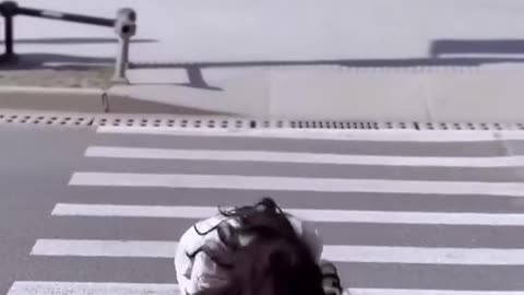 Funny video