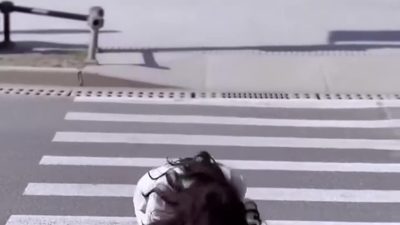 Funny video