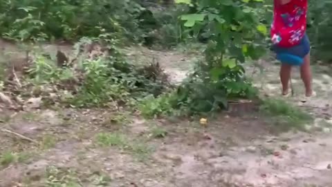 AMAZING FUN COMEDY REELS VIDEO