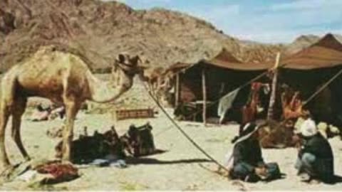 قصة الفارس والشيخ سعدون العواجي