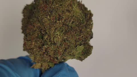 Kush Crasher THC Flower Ounces