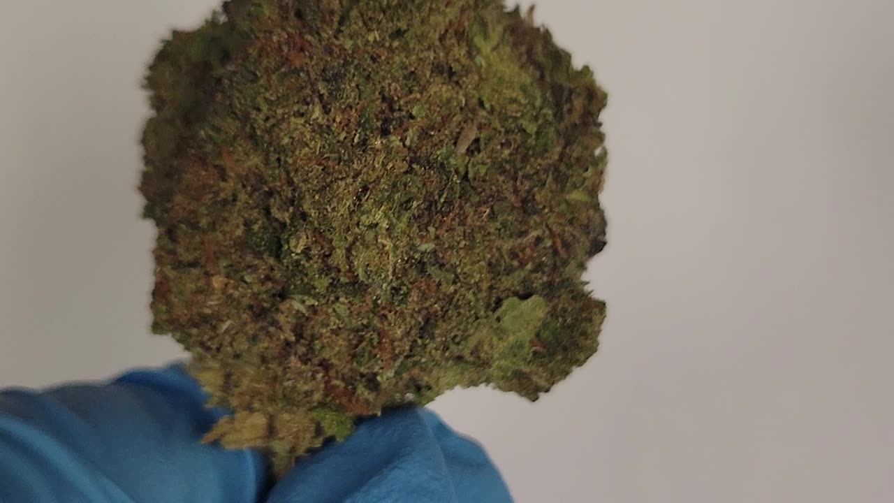 Kush Crasher THC Flower Ounces