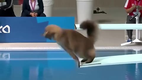 Funny