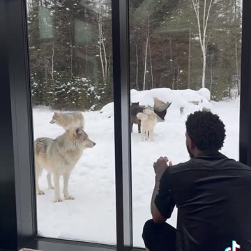 Wicked experience it looks like