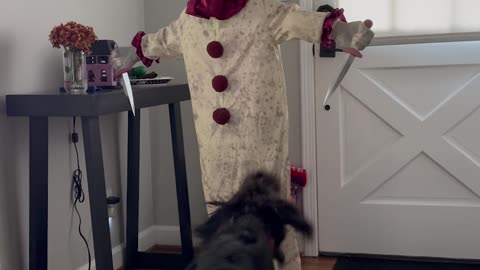 Malcolm Isn't a Fan of Dagger Mike