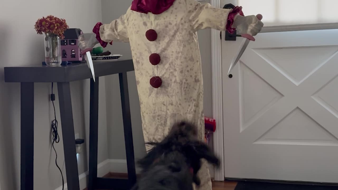 Malcolm Isn't a Fan of Dagger Mike