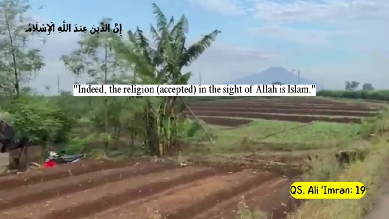 Partly about the Islamic religion 4