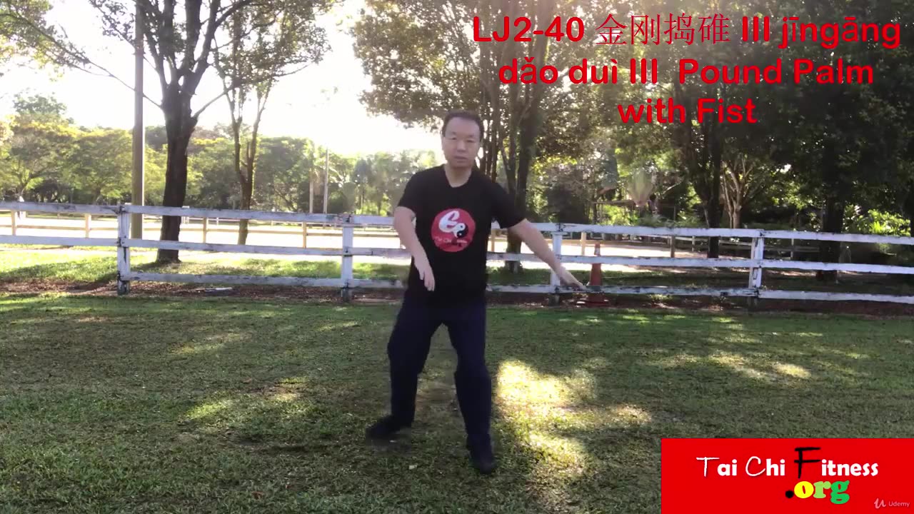 Aerobic Tai Chi Workout-042-III Pound Palm with Fist III