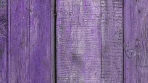 The Carter 6 Review: This is your GOAT???