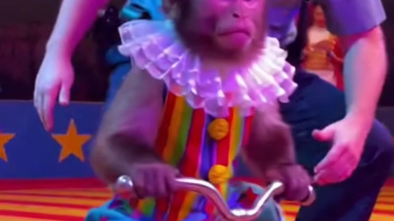 Clown Monkey Cycling Mayhem
