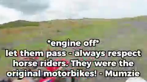 Horses passing while riding dirtbikes
