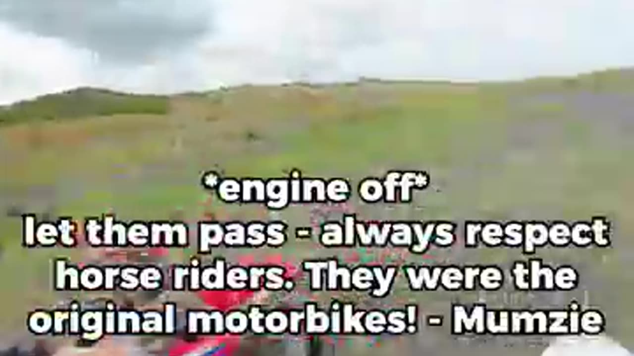 Horses passing while riding dirtbikes