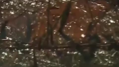 The Coast Guard is working to contain a large oil spill off Louisiana's