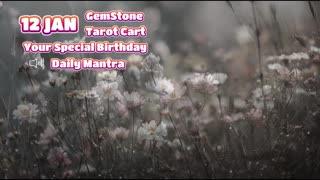 12 January Happy Birthday