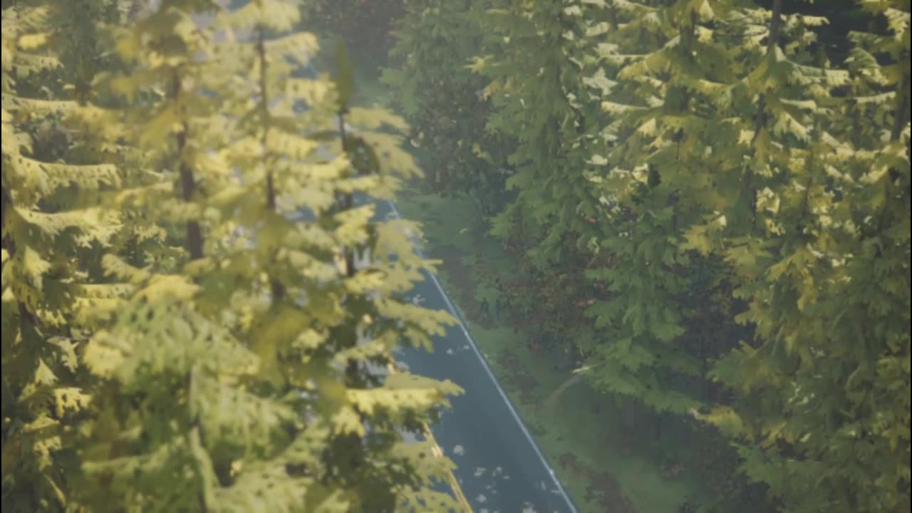 LIFE IS STRANGE 2 PART 2 GAMEPLAY