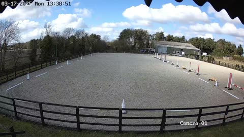 Mousehold Farm All Weather Riding arena