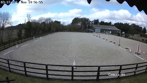 Mousehold Farm All Weather Riding arena