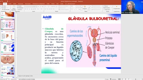 AULA 20 REPASO 2026 - 1 | Semana 05 | Anatomía
