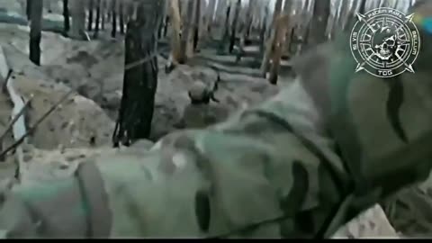 🔥🪖 Ukraine Russia War | Colombian Volunteers Battle Russian Forces in Luhansk Forest | RCF