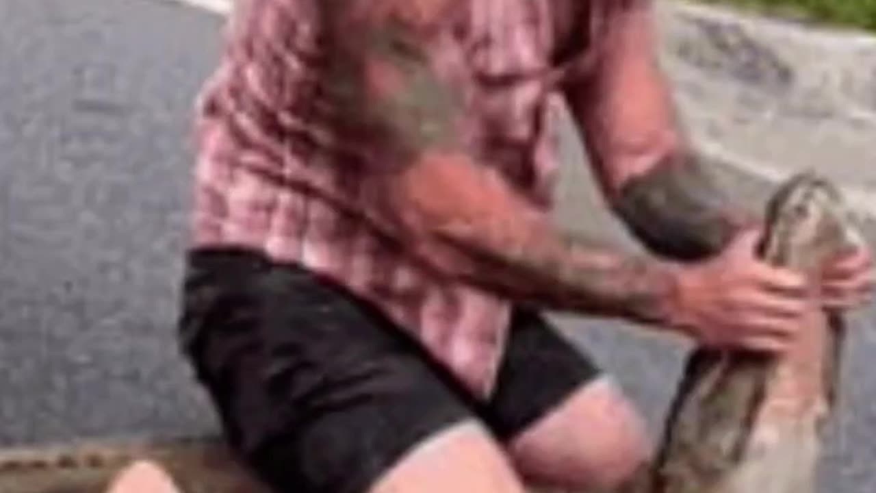 FLORIDA MAN VS ALLIGATOR