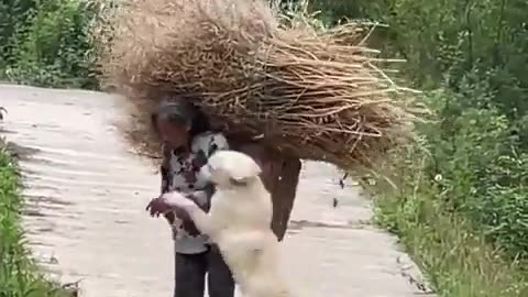 May this dog and this woman find infinite happiness, because they truly deserve it 💕