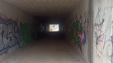 03222-BIS-El túnel, los arcontes, y nuestro hogar