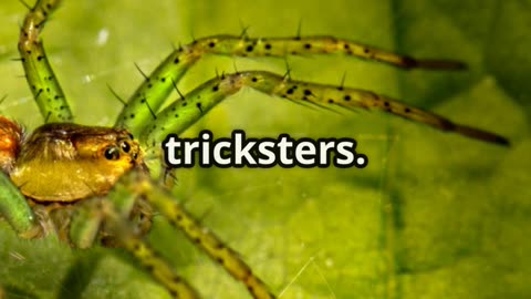 🕷️ Masters of Masquerade The Deceptive World of Ant Mimicking Spiders 🐜🎭